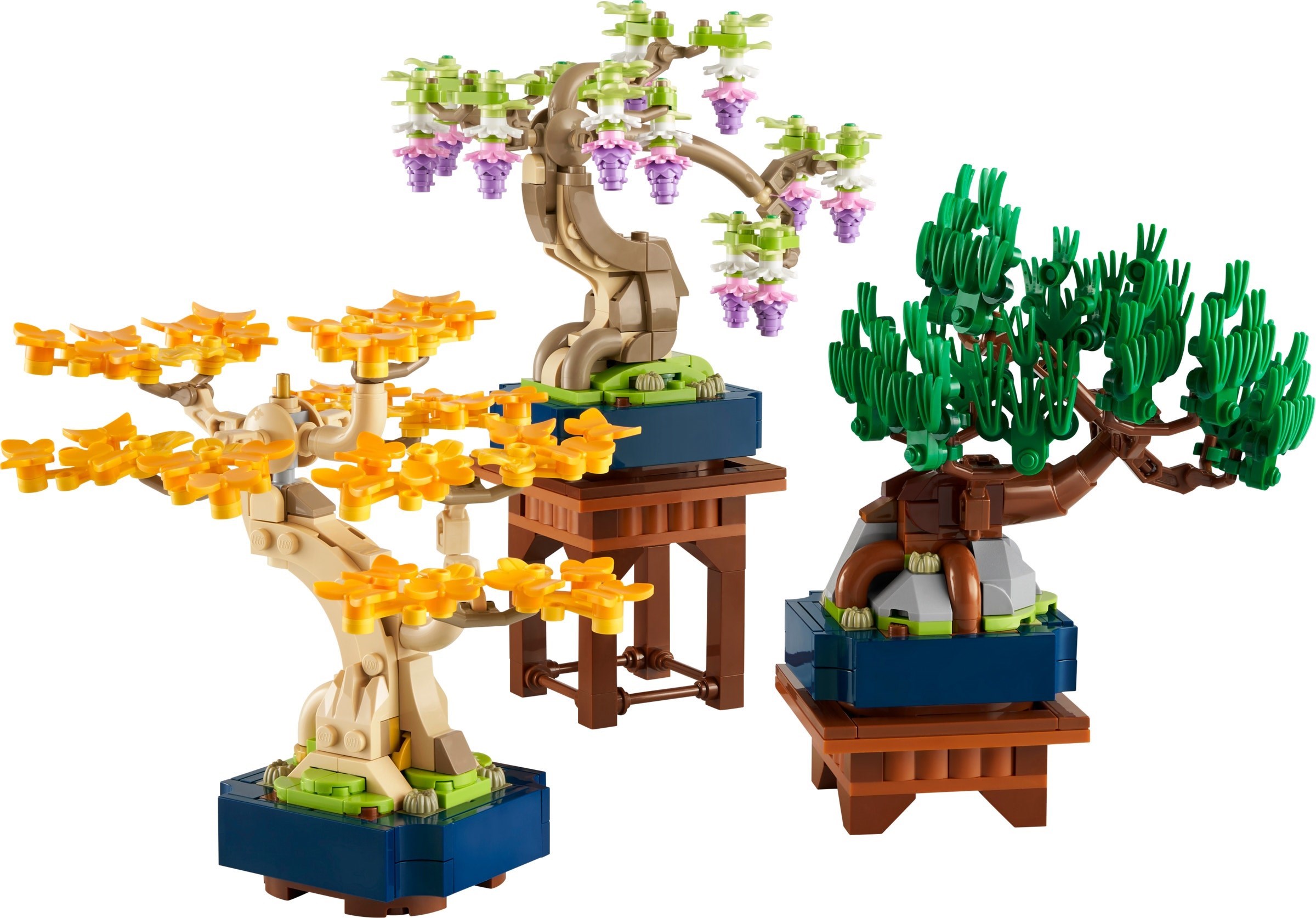 LEGO Botanicals in 2025: Your Wallet Won't Thank You